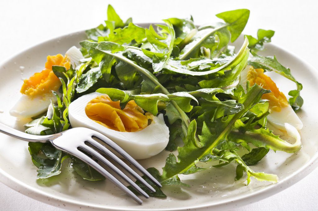 салат витаминный из одуванчика и крапивы