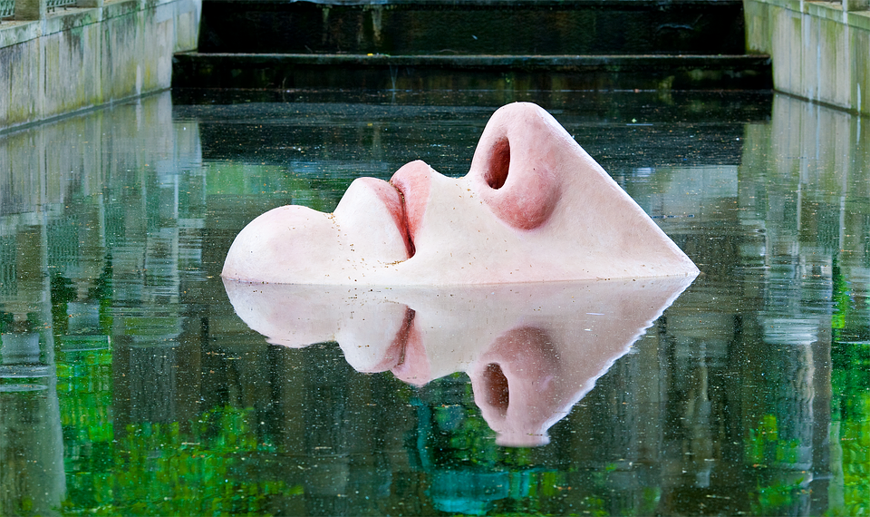 Вода и нос абстракция