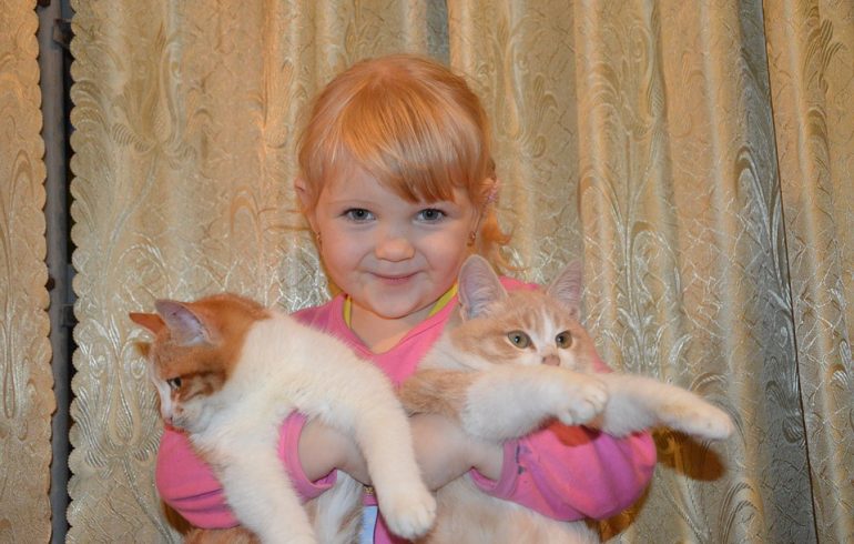 девочка держит на руках котов