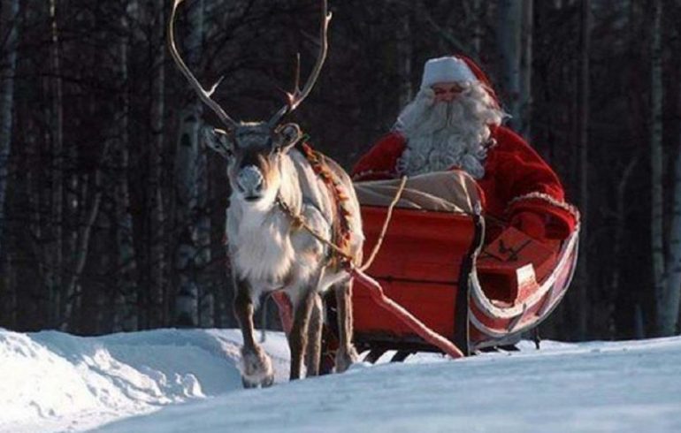 Дед Мороз на санях