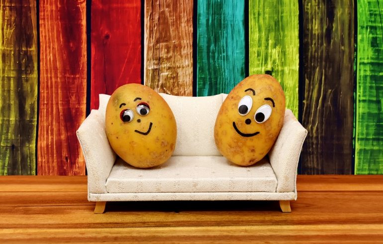 две картошки на диване