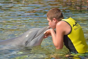 зачем мальчику целоваться с дельфином