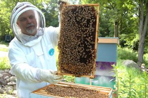 пчелы и пчеловод
