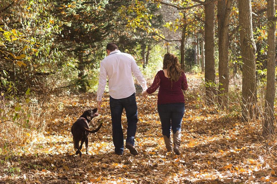 семья с собакой гуляют осенью 