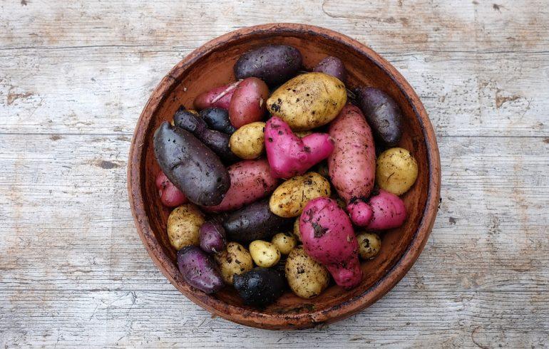 простые рецепты из картофеля