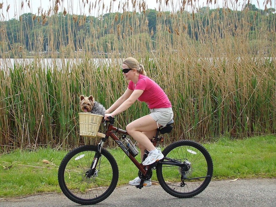 девушка едет на велосипеде с собакой