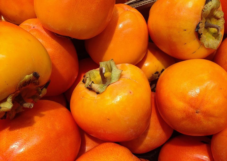 много оранжевых плодов хурмы