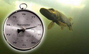 барометр для рыбака