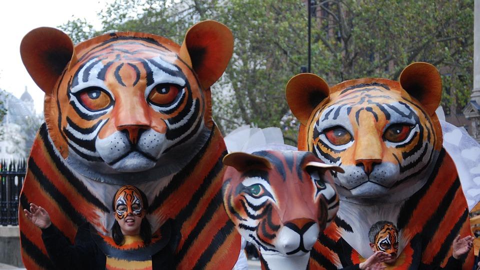 китайцы в костюмах тигра 